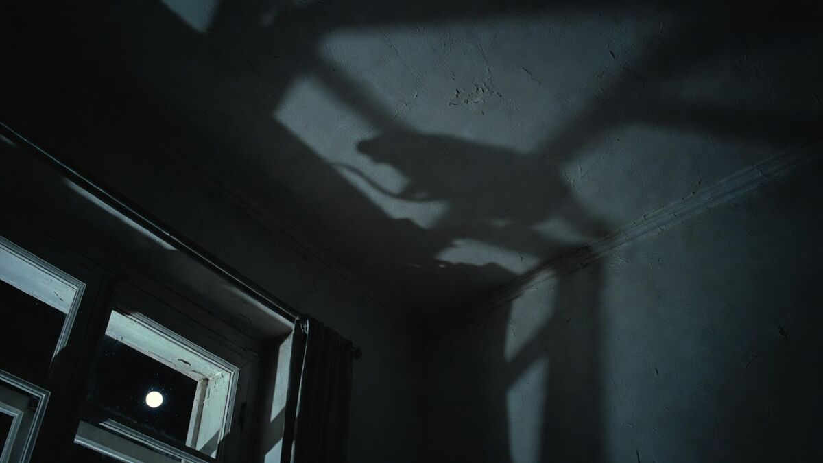 Bruits dans le plafond la nuit : comment savoir si ce sont des rats, des souris ou un loir ?