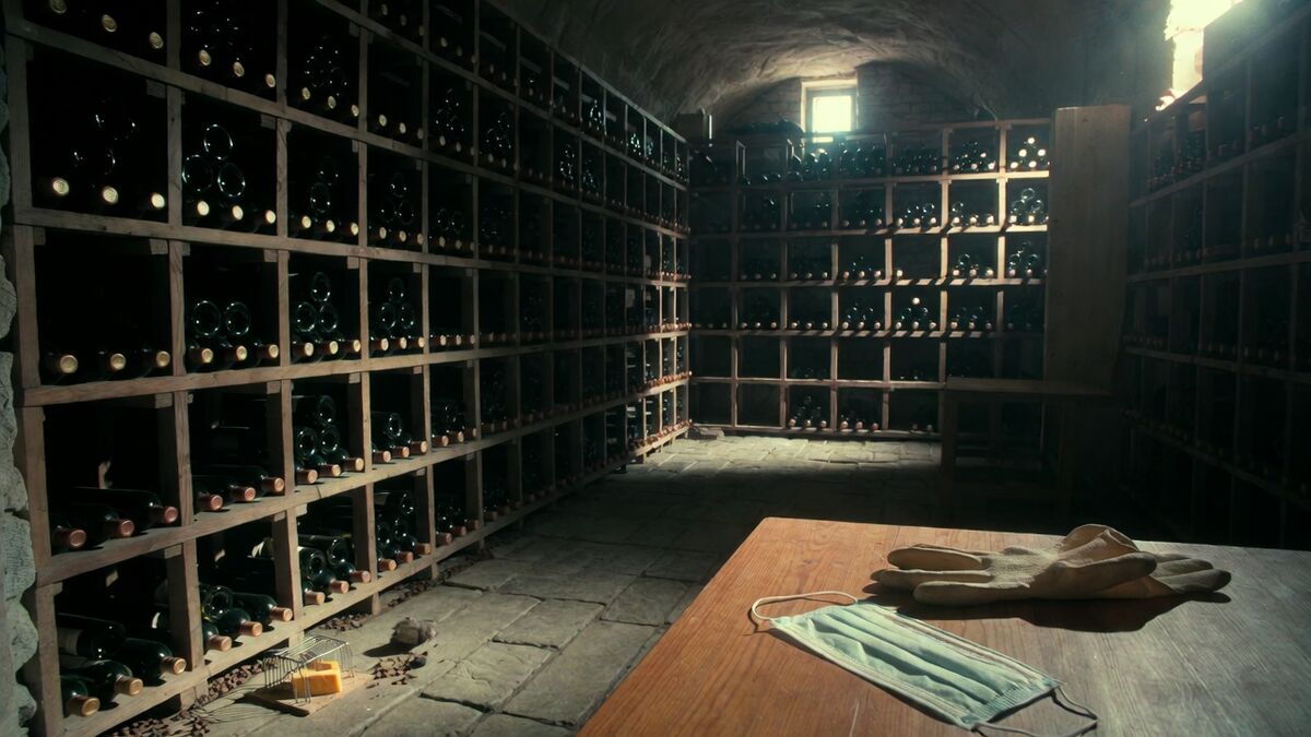 Comment dératiser une cave à vin sans abîmer votre collection ?